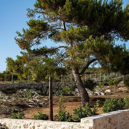 Terra Lucis Mountain Residences Вилла *